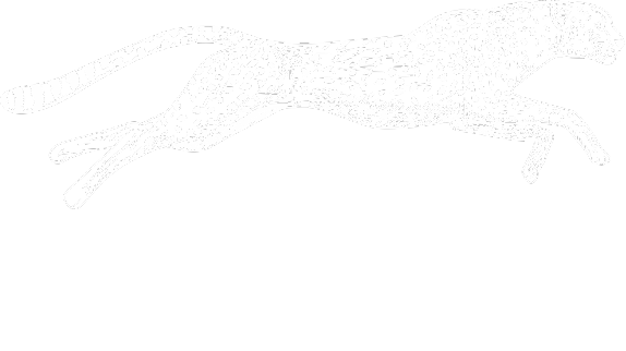 logo_savvy